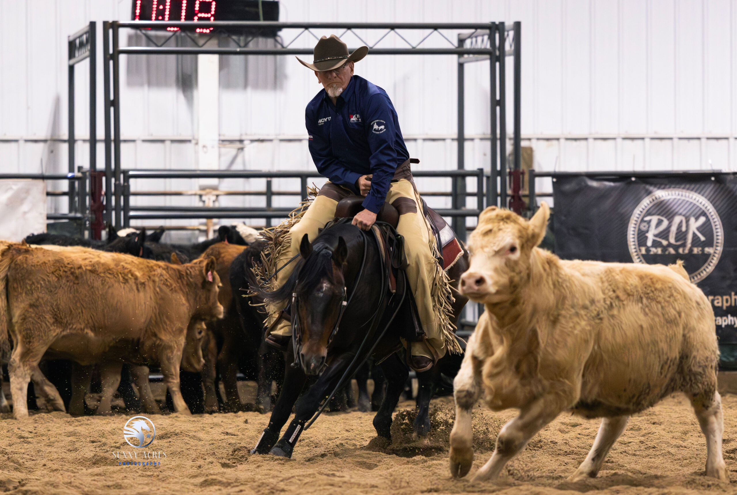 A rider working with a horse at 7 Stars Ranch