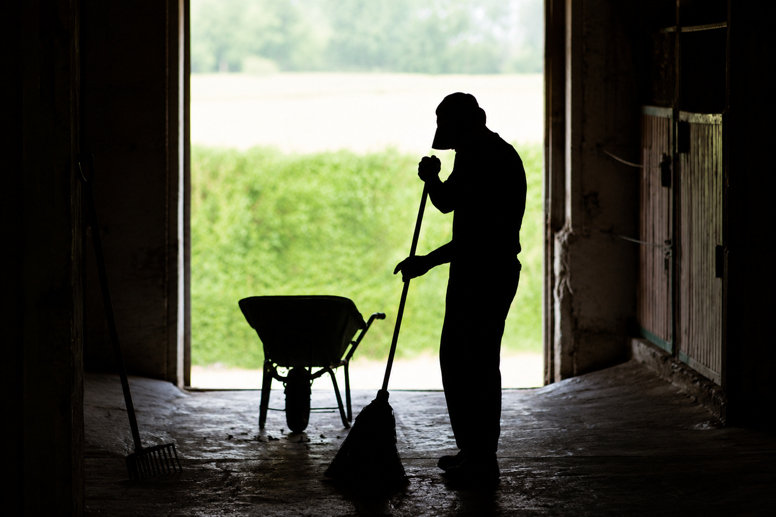 A clean, ordered barn aisle at 7 Stars Ranch