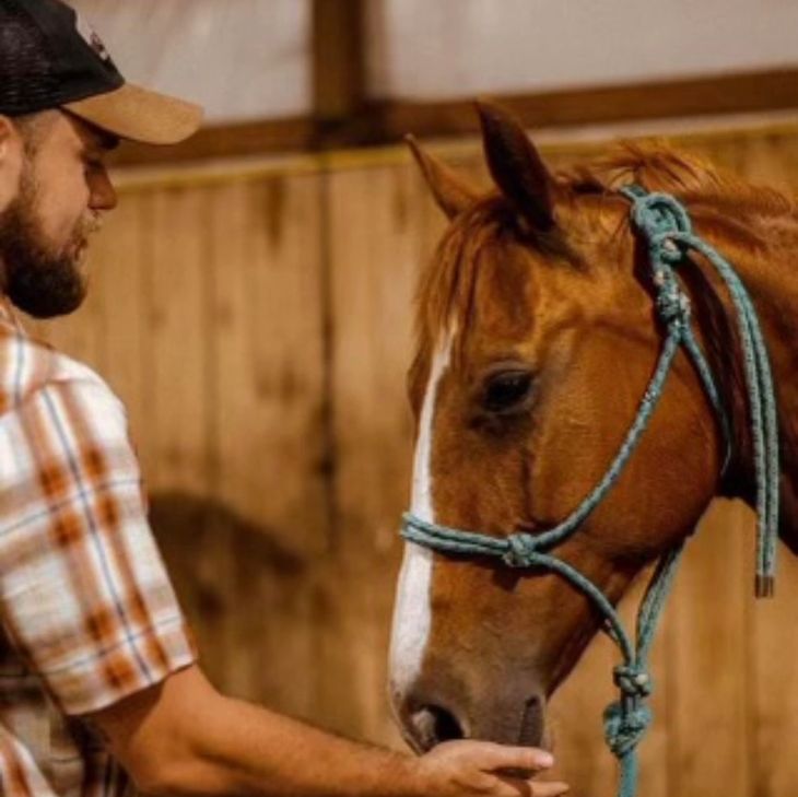 A hand resting on a horse at 7 Stars Ranch